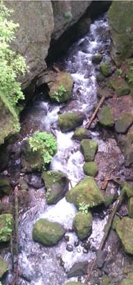  长白山白龙湾水库之二